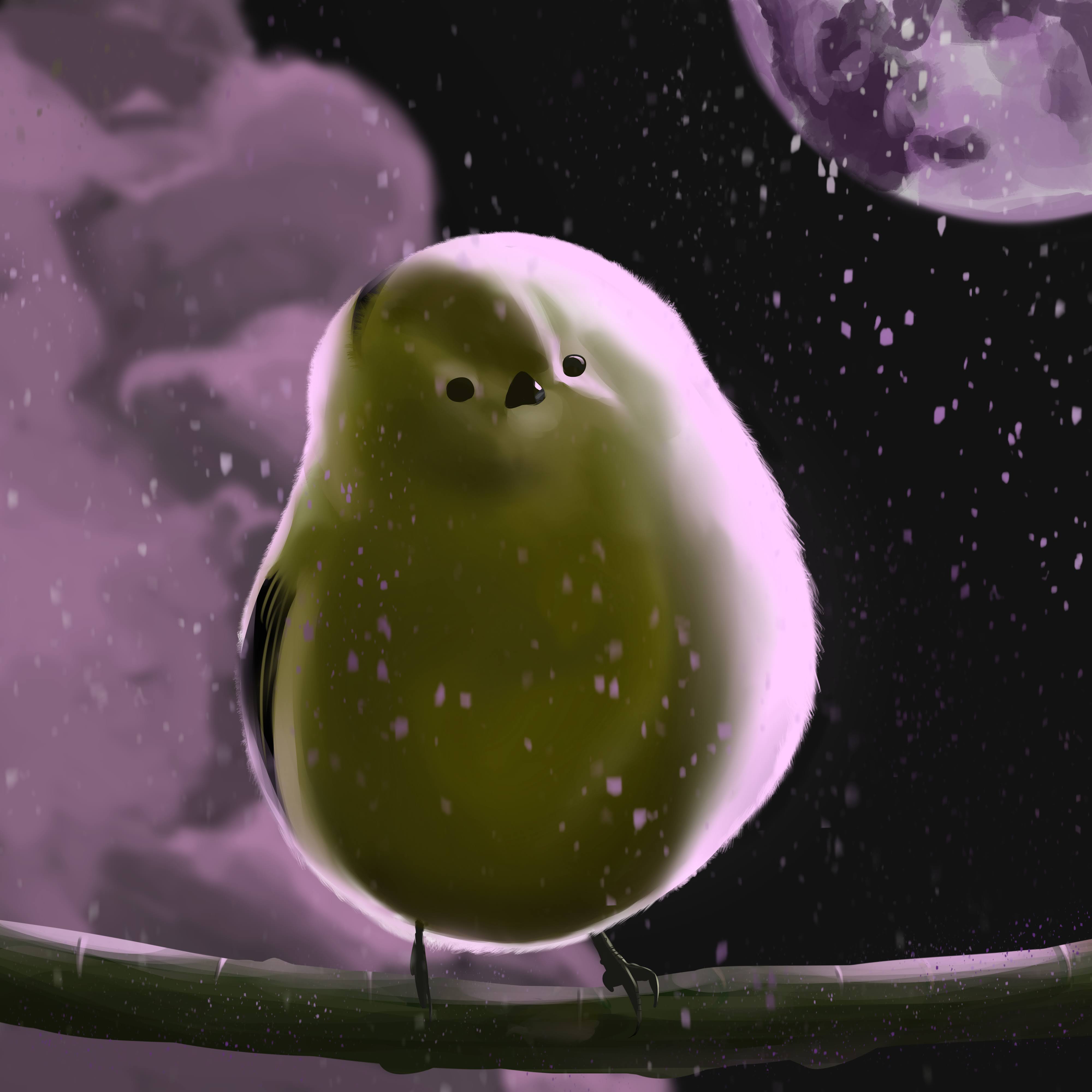 Had fun with colors with this cute birb